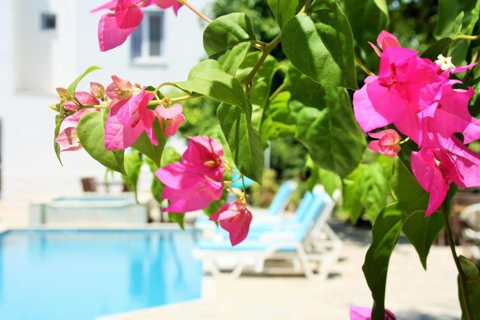 Parla Apart Hotel Çeşme Kültér fotó